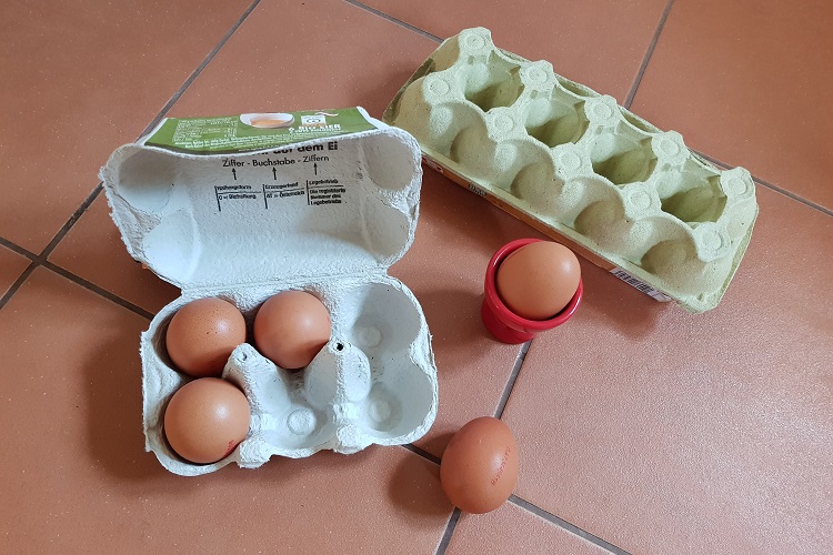 Eier richtig lagern