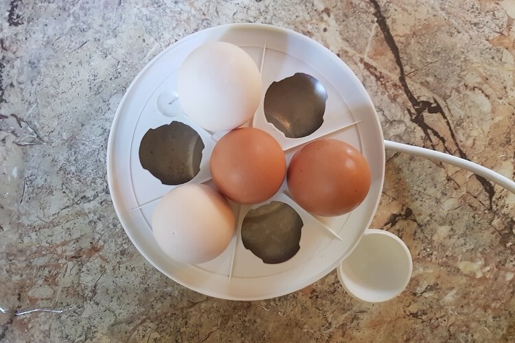 Eier kochen im Eierkocher